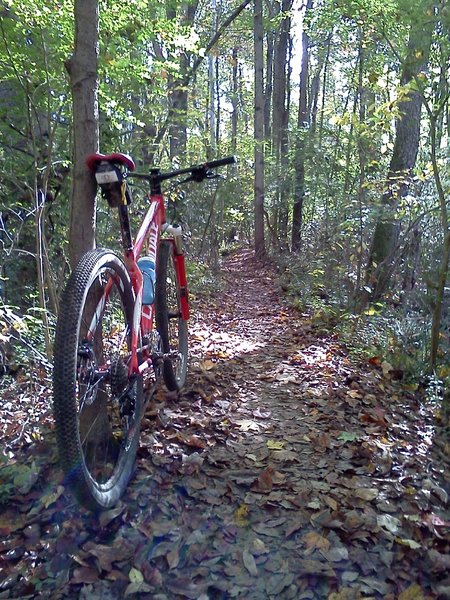 Conveniently located in town, White Park is great for an after work ride.