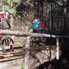 Bridge across Lewis creek