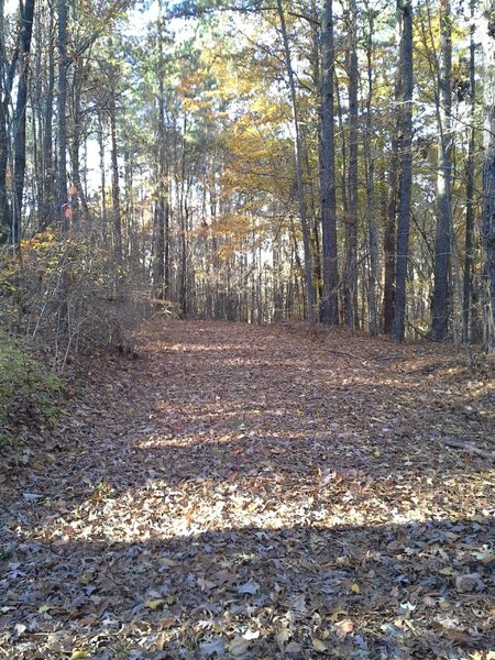 A section of Rockcrusher Rd near the Three Bridges Trailhead