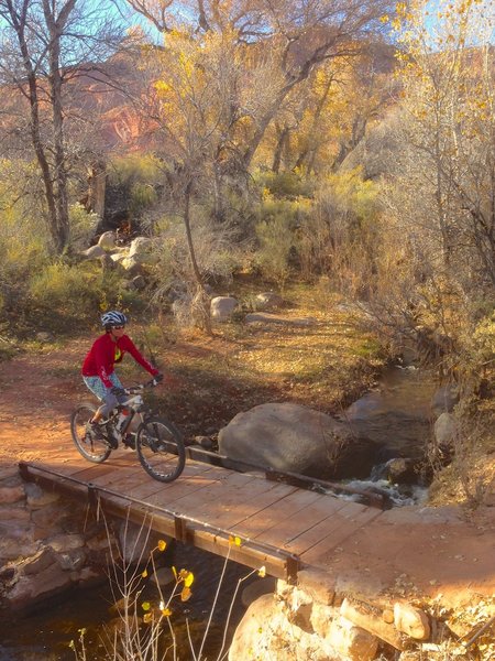 Rare stream crossing is the desert.