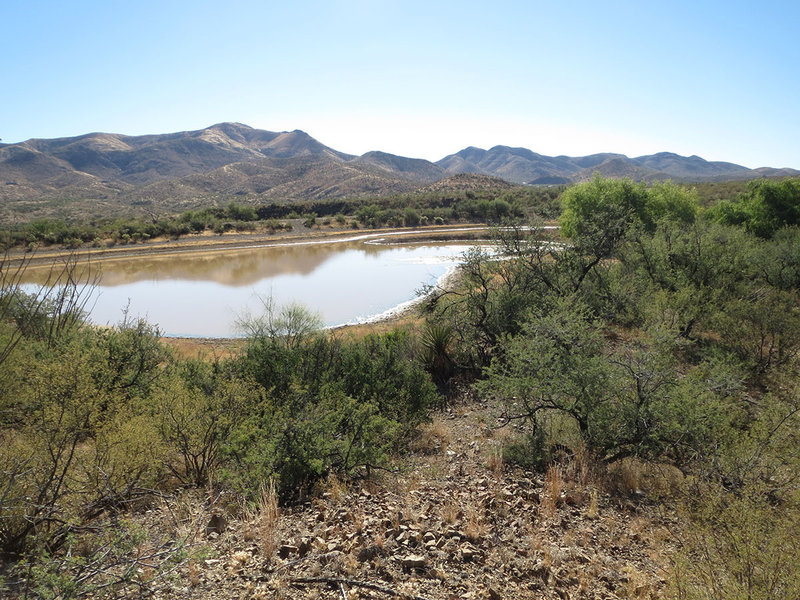 View of 'The Lakes'