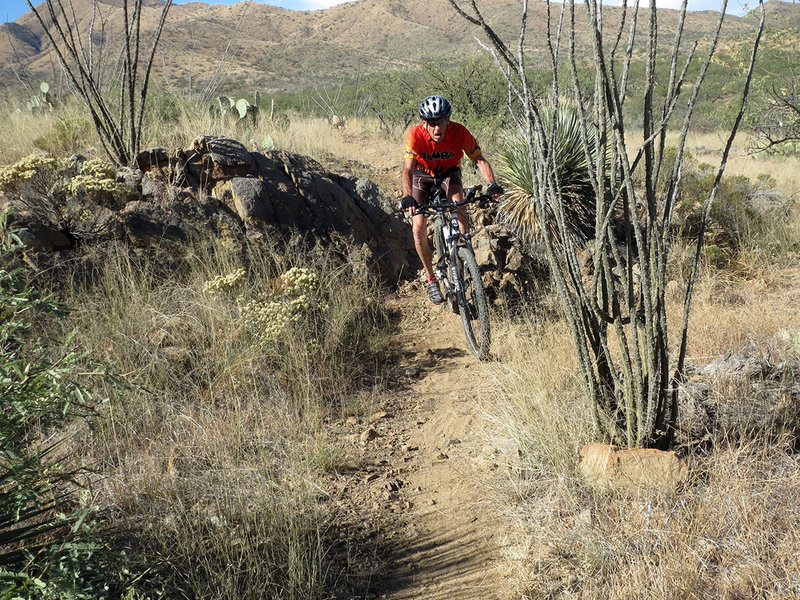 Down 'Butt Krak' rcck