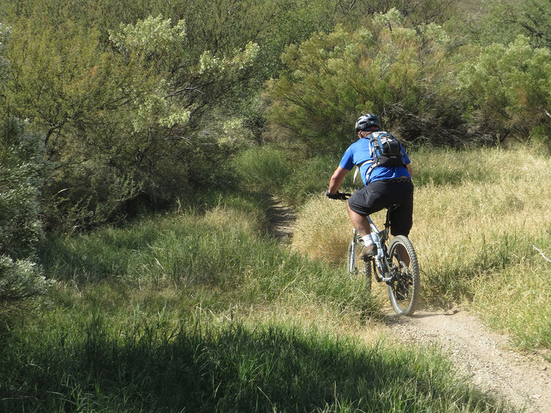 One of the trail low areas