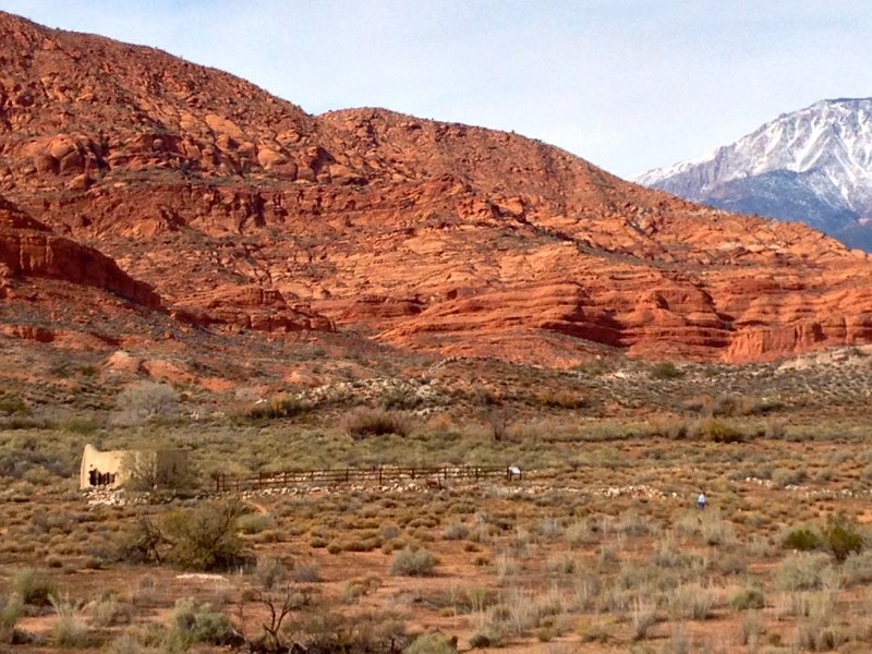 Picture of Red Cliffs with "Mexican village" movie set in the foreground.