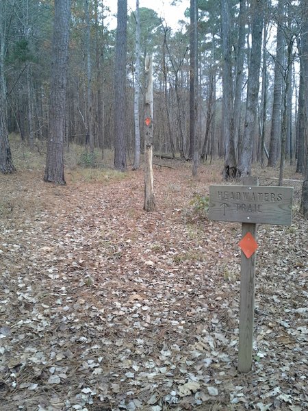 Lakeside and Headwaters Trailhead