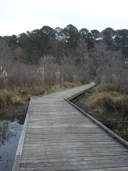 Boardwalk along the upper end of Lakeside Trail