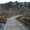 Boardwalk along the upper end of Lakeside Trail