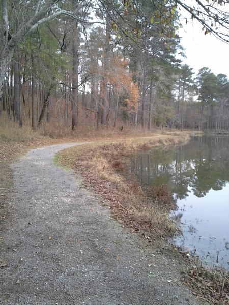 A section of the Lakeside Trail