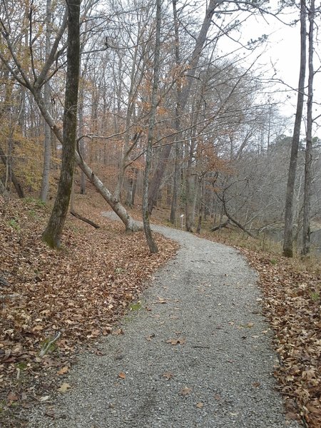 A section of the Cabin Lake Trail