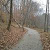 A section of the Cabin Lake Trail