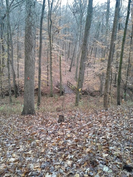 One of the many bridges and deep ravines along the Headwaters Trail