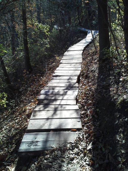 Wooden portion near beginning of Kickapoo Up.