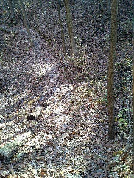 Although it is partially hidden by the leaves, there is a small bridge here on L.T. with a slightly rocky approach