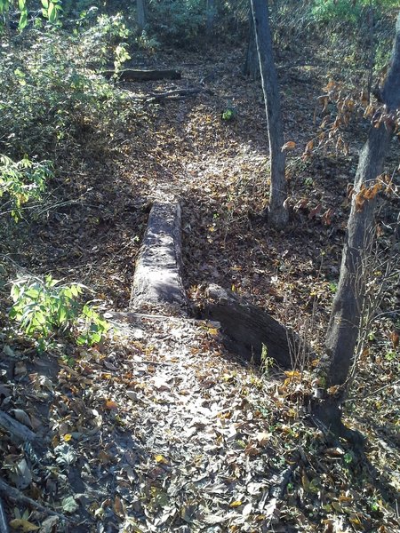 Log skinny crossing on Blue Mound.