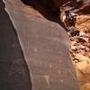 Some petroglyphs on the hike up.