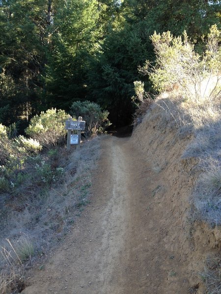 Rides MUST stay on singletrack...