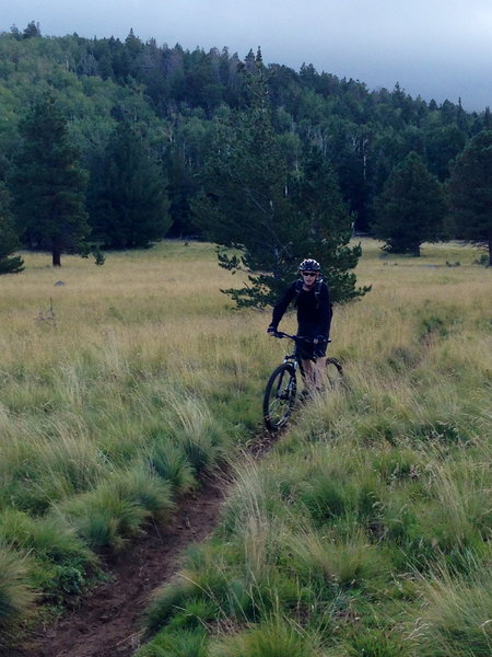 Jeff Cruizing the AZ trail