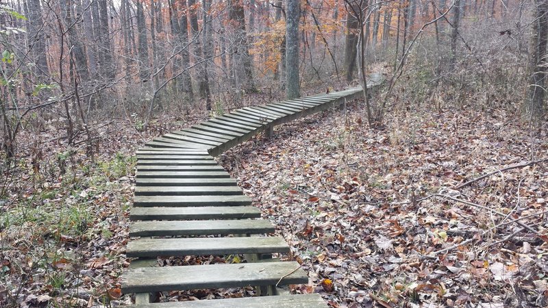 The long and curvy bridge at Dillon State Park.