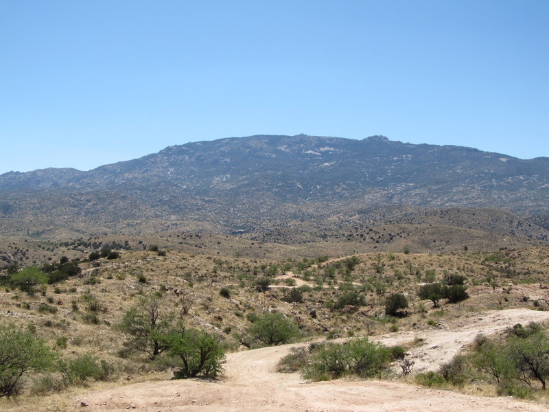 Looking out across the Coronado National Forest towards Chiva Falls