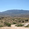 Looking out across the Coronado National Forest towards Chiva Falls