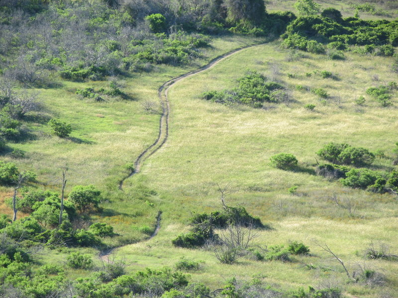 Looking down onto a section of the Dana Peaks Trail