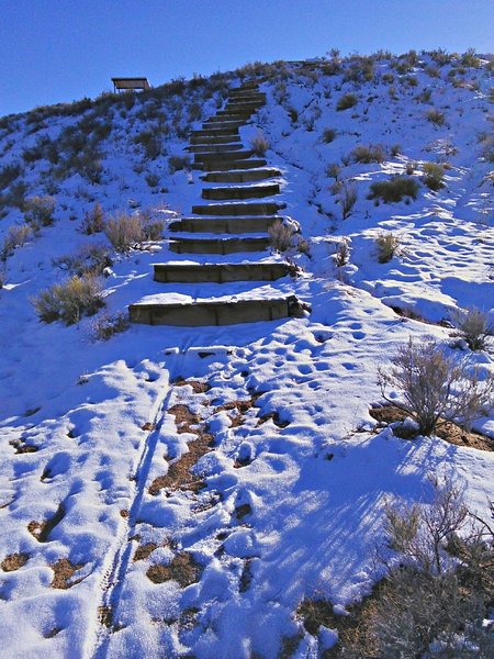 Steps drop from shade shelter into badlands area