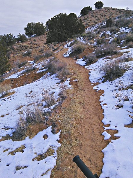 Climbing out of the Bowl proper the trail is nicely contoured so grades are moderate