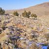 Trail between north and south peaks is rough but not excessively steep