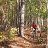 Taylor making his way up the steady climb on the Sheep Ranch Trail