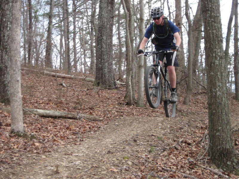 A section on the Six Flags Trail at the Raccoon Mountain Trails System