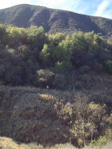 Making the last short climb on the Matias Potrero Trail