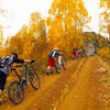 The road up to Burro Pass gets so steep that it's usually easier to push.