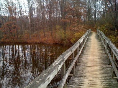 Bridge near Hi-Land Lake