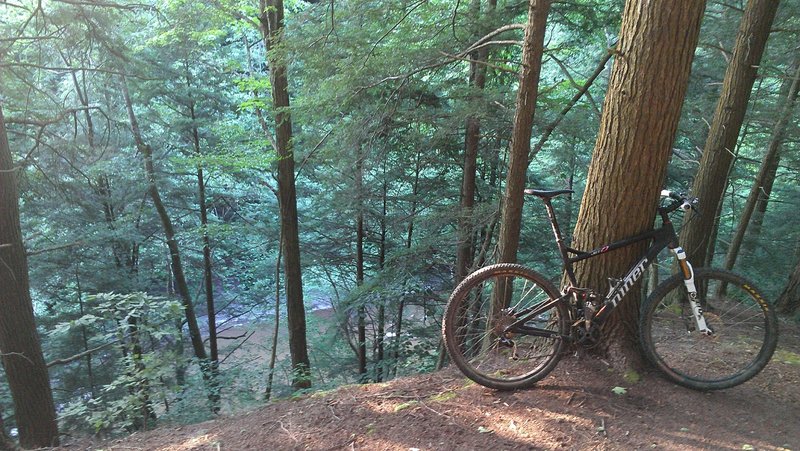 A view from the orange trail overlooking Hunters Creek gorge