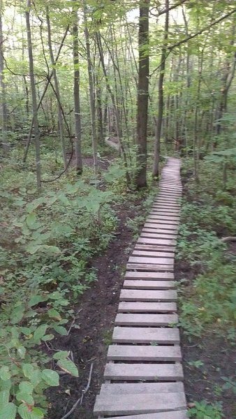 Boardwalk through a wet area on the orange trail.  Built by WNYMBA in 1995 and still going strong!