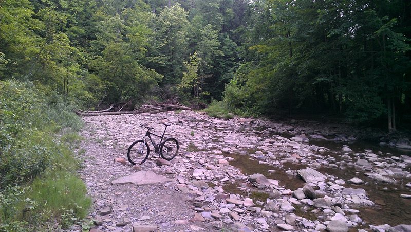 There's no bridges across Hunters Creek in the park.  This is one spot where you can hike your bike across easily.