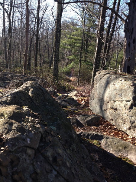 Typical rock feature on Little Mountain, as the trail splits the difference between the outcroppings.