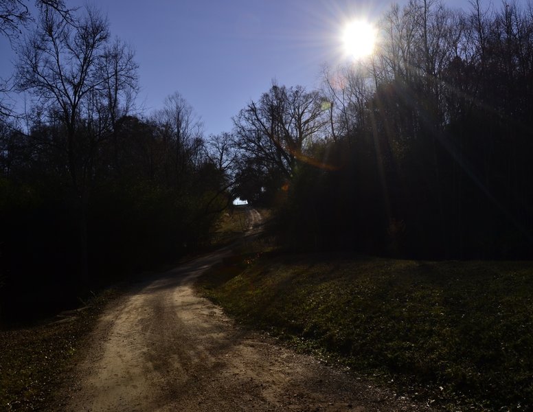 Main Trail - Fire Road Connector