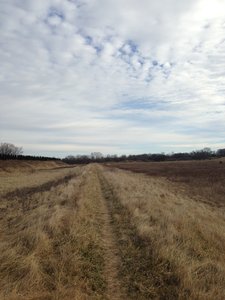 A nice way over or back to Section 5. Use this to bypass the dirt/rock pile or use it to make your ride a loop.