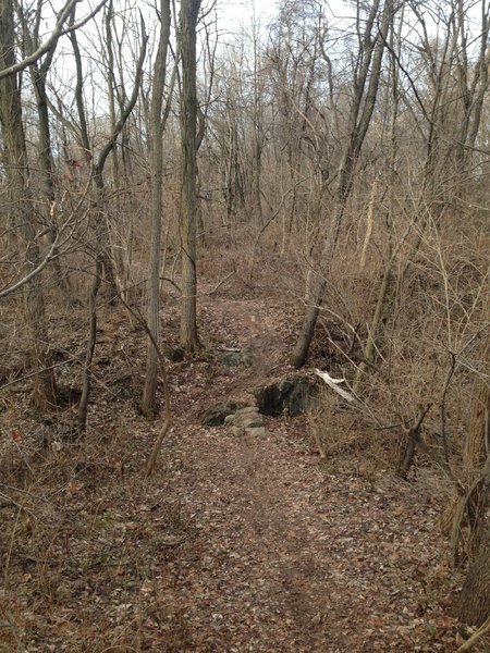 Nice use of the rocks to make this natural water drain rideable.