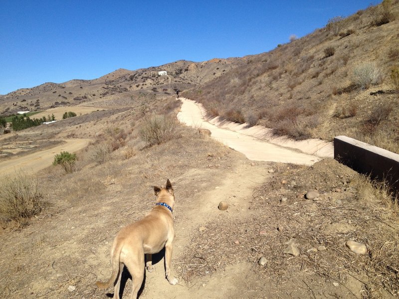 This is where you need to leave the fireroad to reach the singletrack.