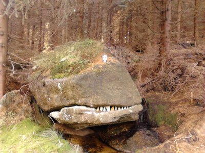 The whale (somewhere around here)