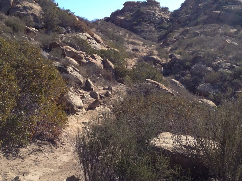 Lots and lots of large rocks...