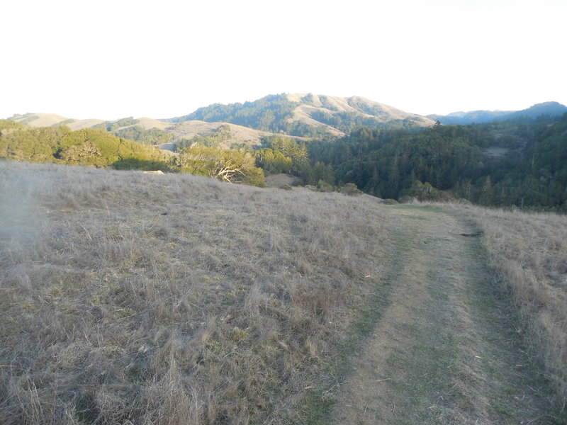 View of Blacks Mountain from the Jewell Trail