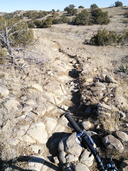 Rock garden on Elkins Canyon Trail