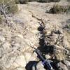 Rock garden on Elkins Canyon Trail