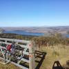 Inverness Ridge overlooking Tomales Bay