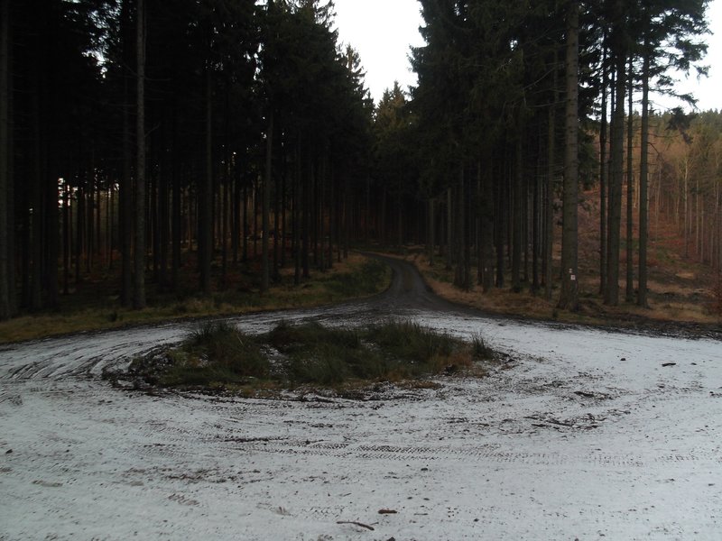 A rotunda in the forest??