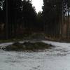 A rotunda in the forest??