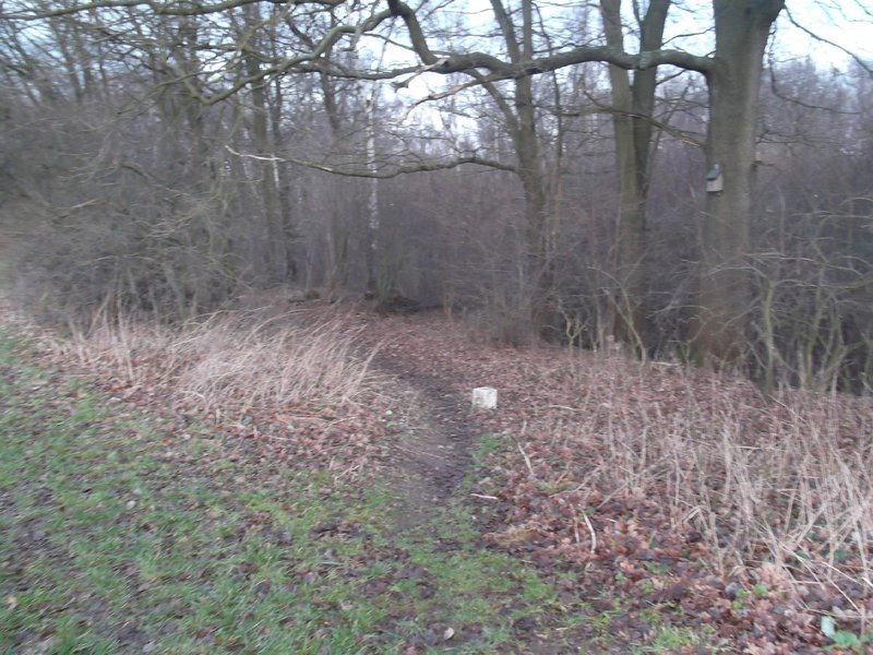 Hradek singletrack entrance